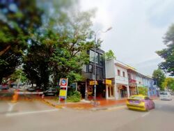 Joo Chiat Road (D15), Shop House #575667621